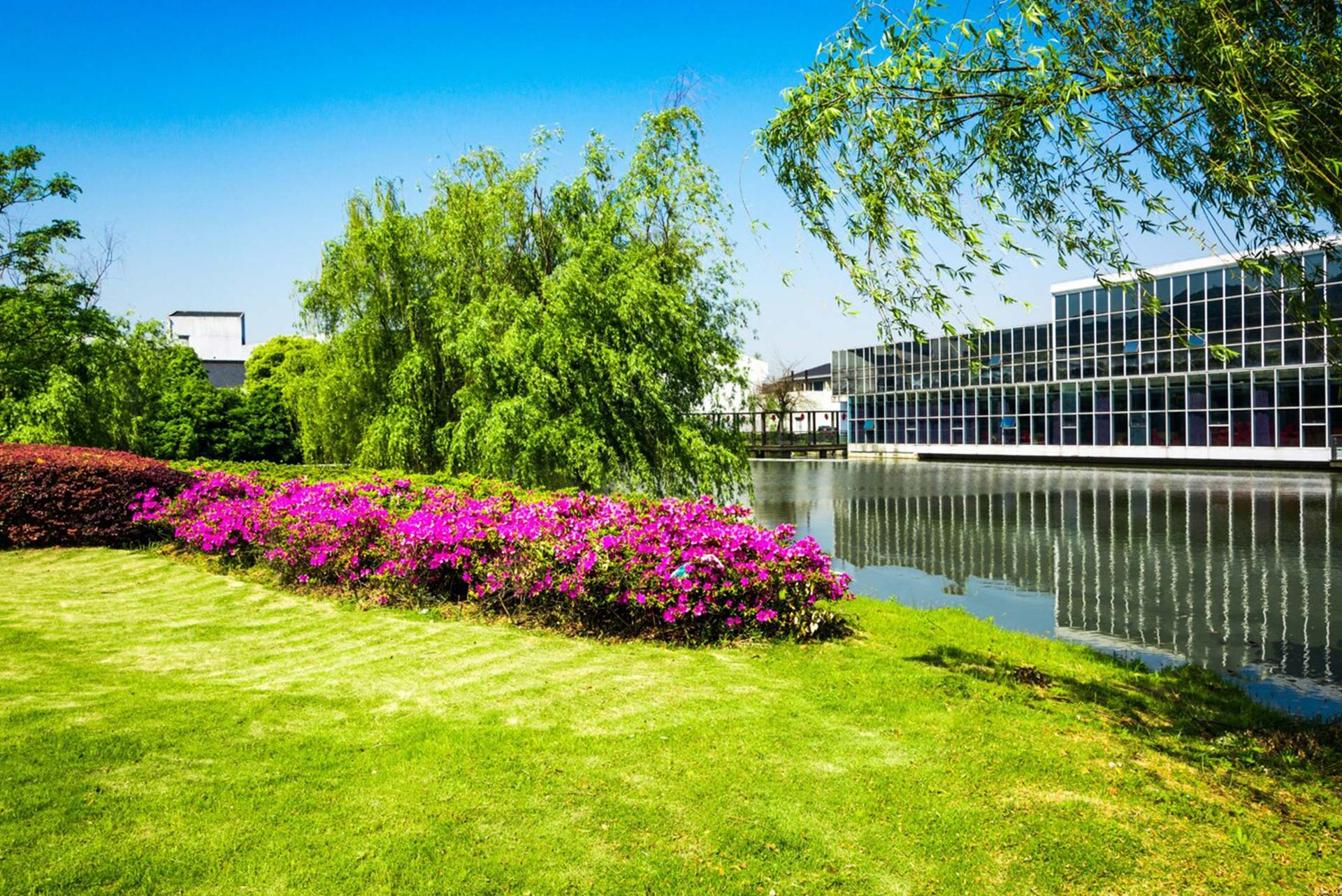 Landscape-Maintenance