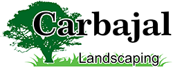 Carbajal Logo
